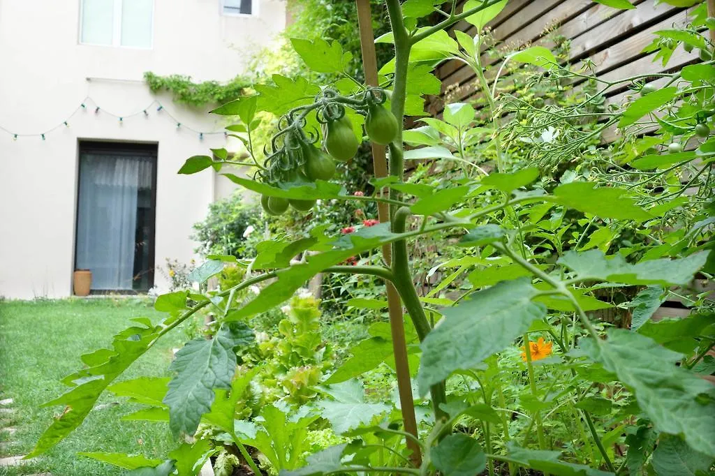 Bed & Breakfast La Campagne A Paris B&B France